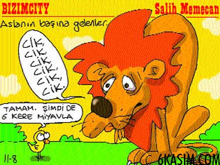 6kasimekart9.jpg