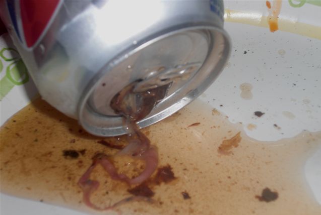 mouse_in_the_pepsi_04.jpg