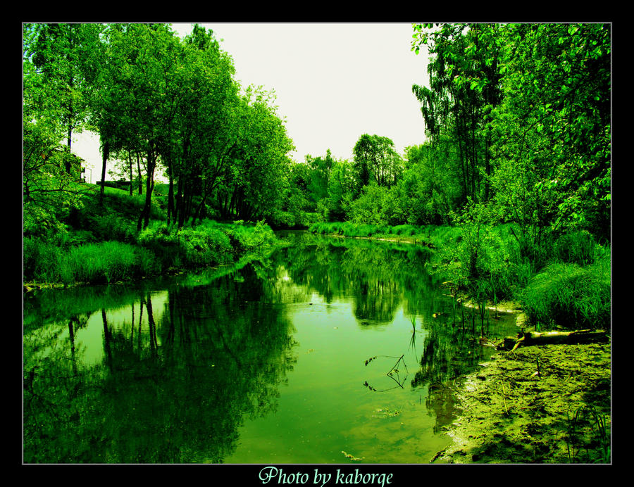 Summer_green_river_by_kaborge.jpg