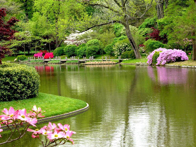 spring_61.jpg