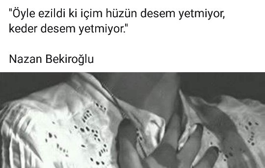 tumblr_pewveax1Rr1syfzjd_540.jpg