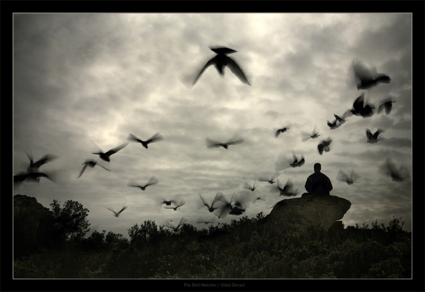The_Bird_Watcher_by_gilad.jpg