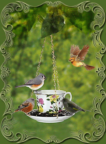 d7bdbeaf95222bb5364f7d453e529f42.gif