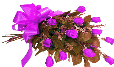 zypgpnho.gif