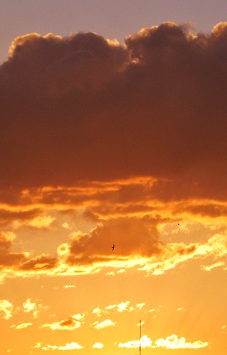2490281302_e4d311af10.jpg