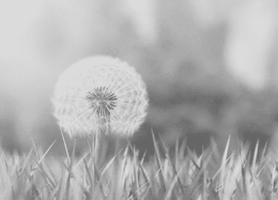 tumblr_nk4b5ahskQ1sjt6sco1_400.gifv