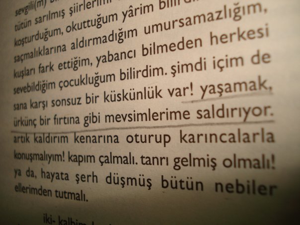 hi%C3%A7-sesler.jpg