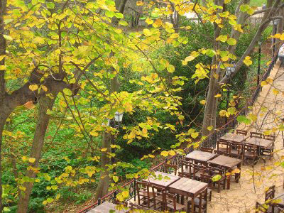 yildiz-parki-09-1.jpg