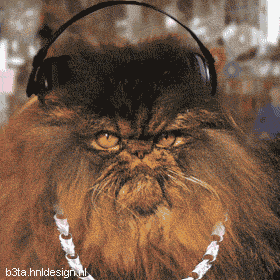 0703110620592192383333.gif