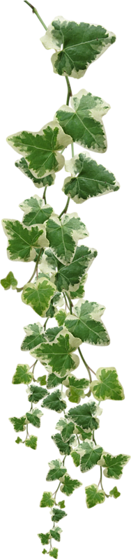 0_bc63e_8f2315f3_XL.png