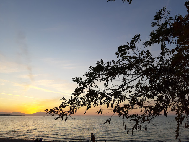 20201003-174312.jpg