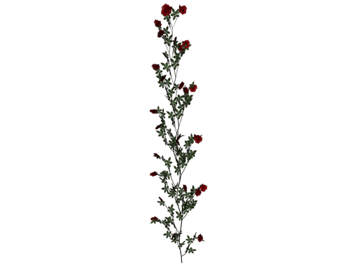 0_7eae4_1a6178f8_L
