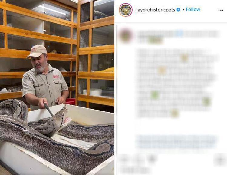 DEHŞETE KAPILDILAR
