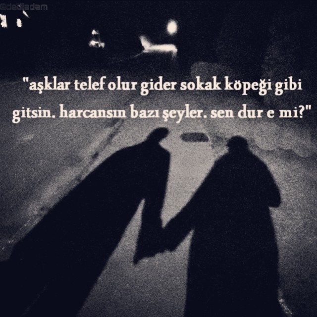tumblr_n930a909wp1tdordvo1_1280.jpg