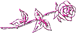 11.gif