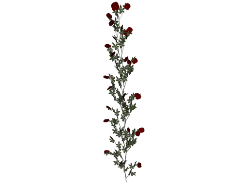 0_7eae2_cff80a54_L