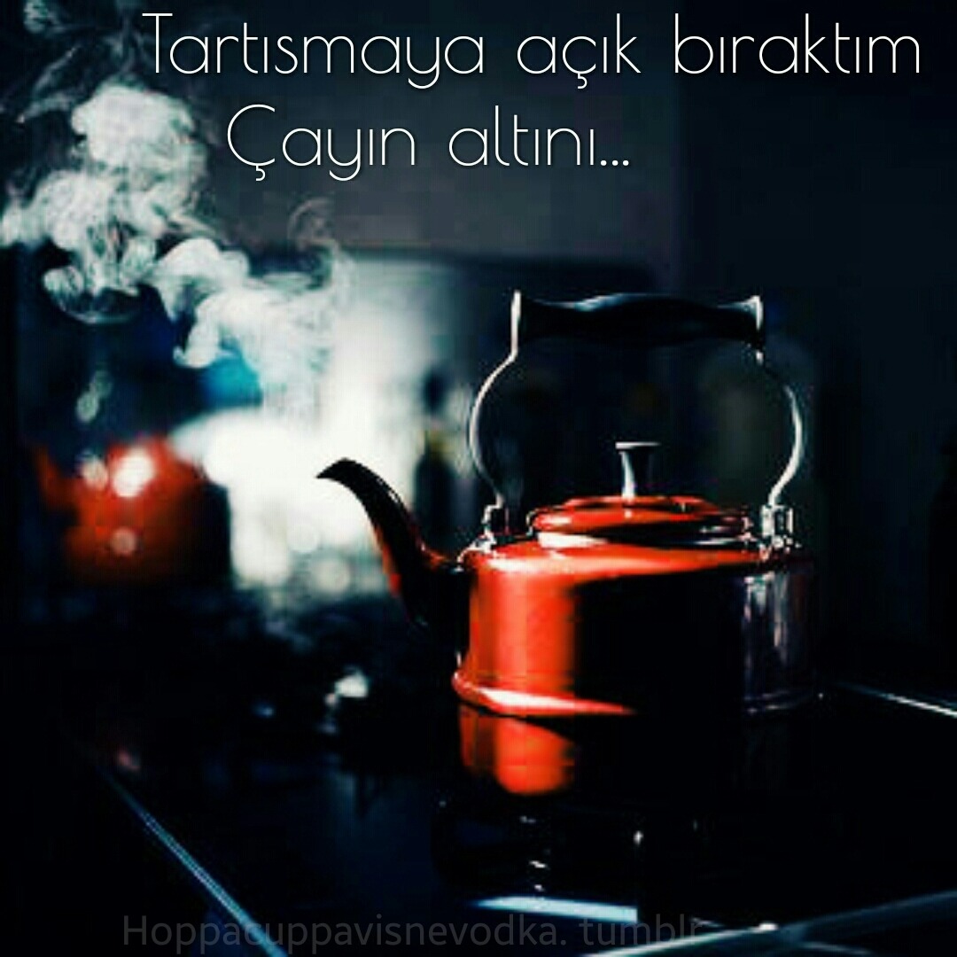 tumblr_nk2m2nM1O31ri2qk0o1_1280.jpg