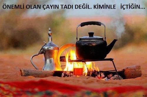 tumblr_mwm498NoXQ1st9itno1_500.jpg