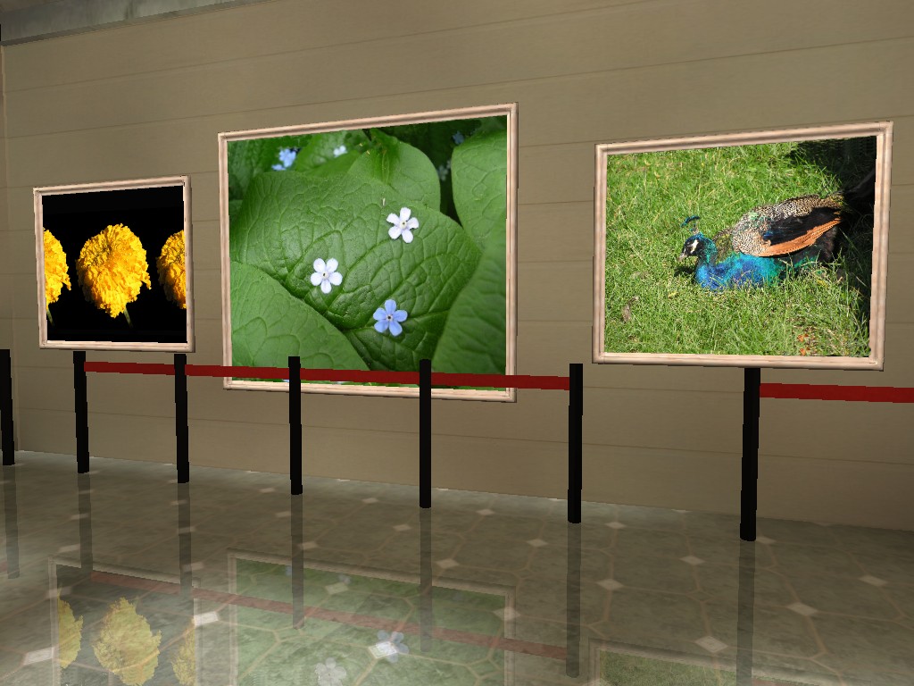 showroom3.jpg