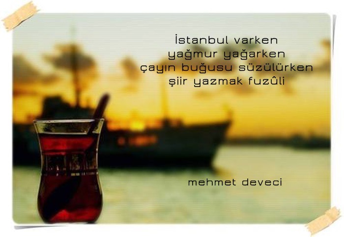tumblr_mzvaz7aOCx1s998qto1_1280.jpg