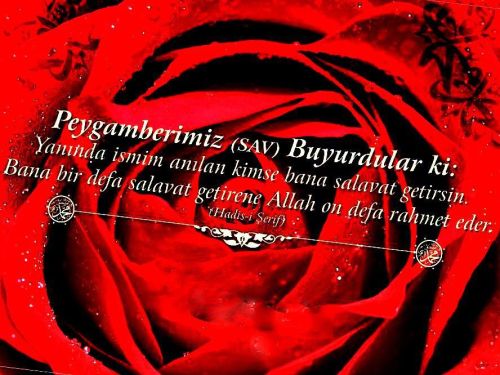 tumblr_mekfqdpfg01rxmsjmo1_500.jpg