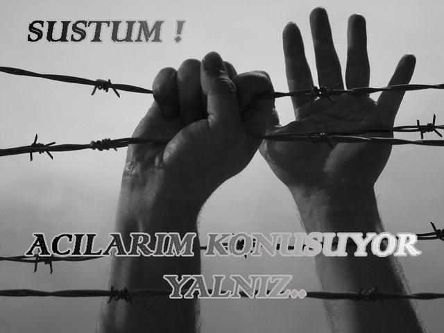 sustumav5.png