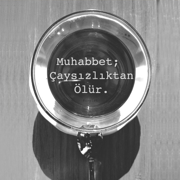 tumblr_nbsjjtadnu1sk3v44o1_1280.jpg