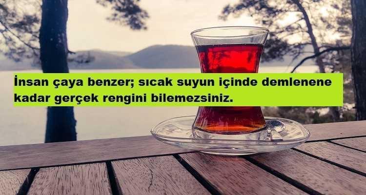 620778b445d2a0c0140fefee.jpg