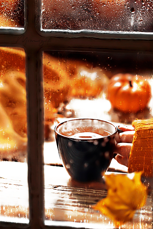 7b1a5174fc0e88cd35cd48dc98b3ad67.gif