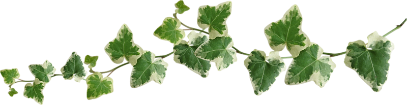 0_bc63d_5af8b812_XL.png