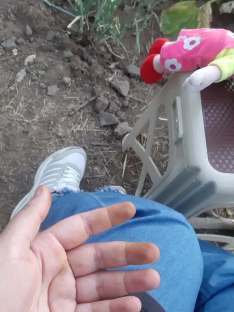 20200906-184305.jpg