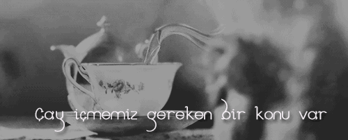 tumblr_nb37ndQASB1th4oufo1_500.gif