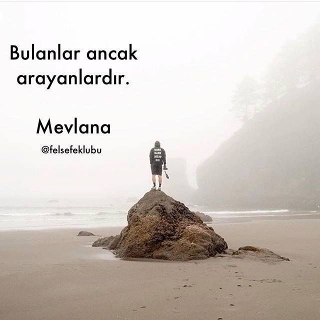 664514da910429427d342a290caedab6.jpg