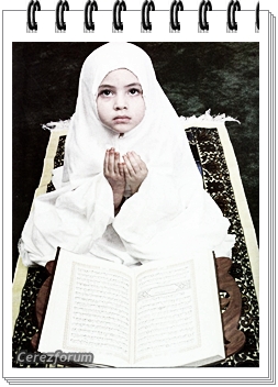 PcEjuMq.jpg