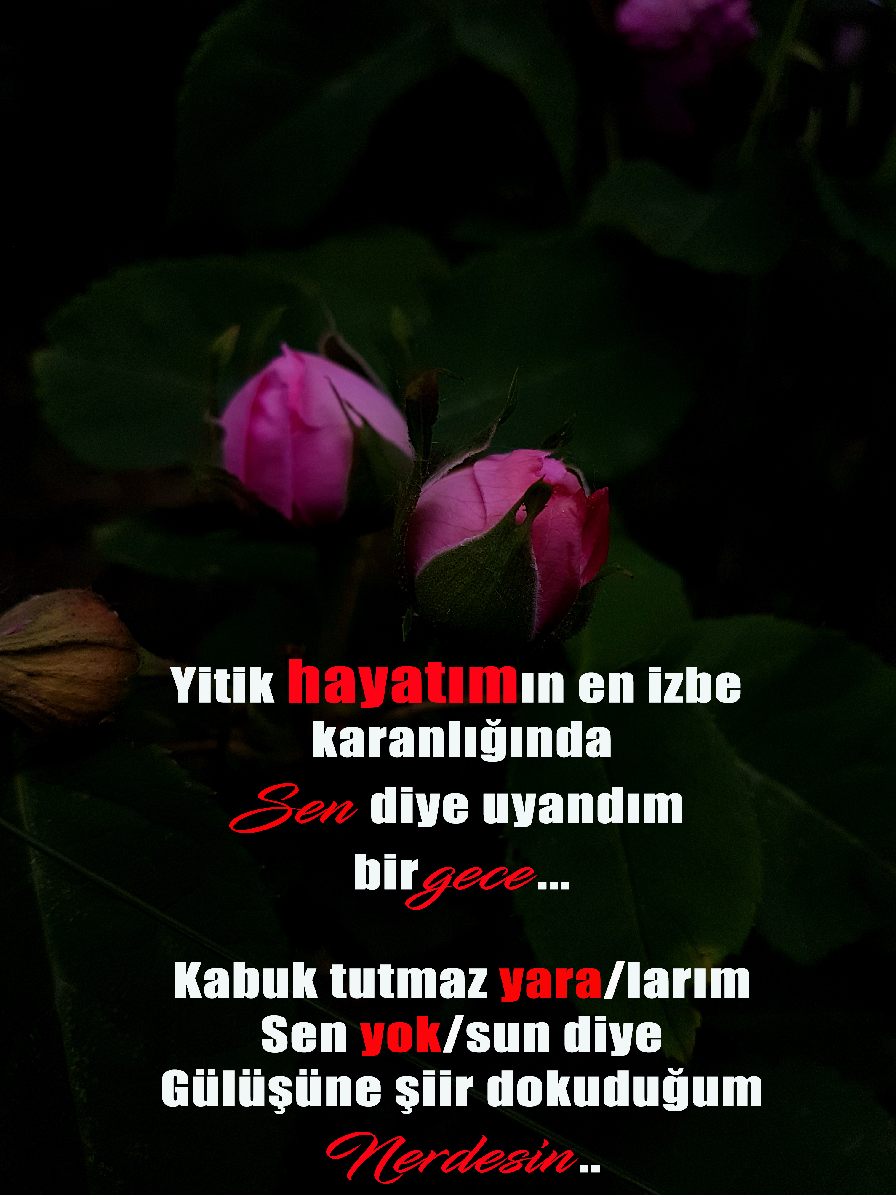 20170614-143021.jpg