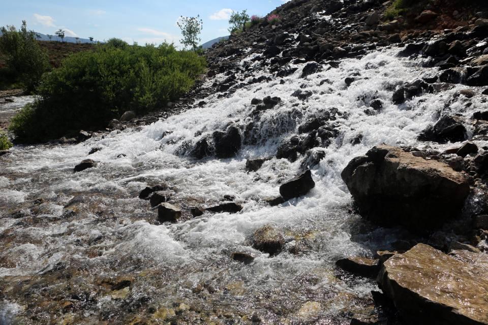 UOIfa_1623406122_0635_w960_h640.jpg