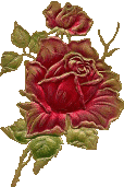 0_b9f1f_7f167adb_XL.gif