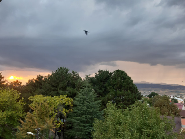 20210924-174851.jpg