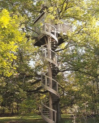 tree_houses_04_large.jpeg