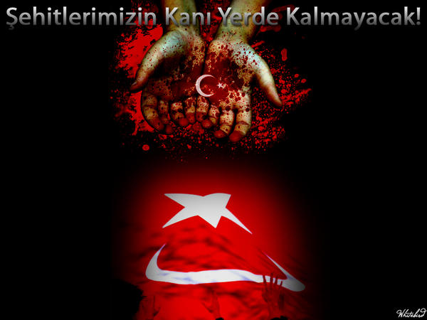 Sehitler_Olmez_by_WhiTeBiRdTurk.jpg
