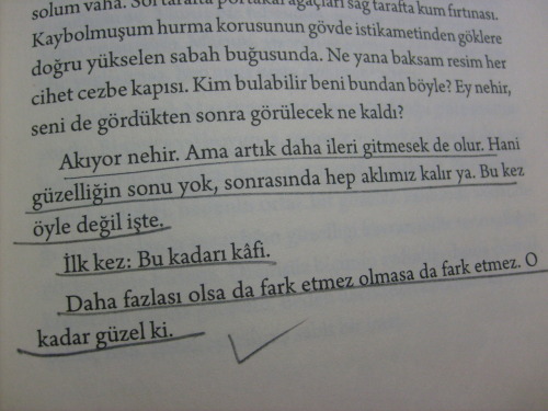 tumblr_lwc9yu8l5C1r5ht8eo1_500.jpg
