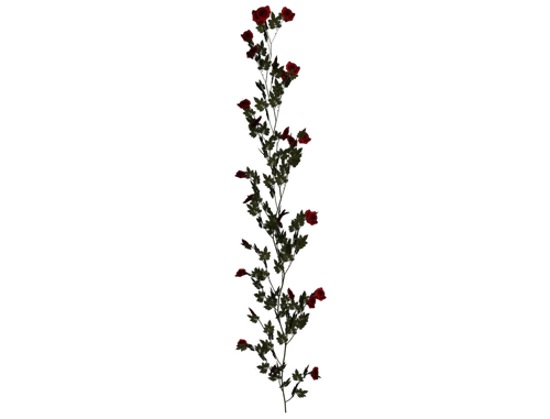0_7eae3_45757595_L