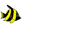 11.gif