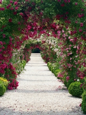 rose-garden-main2.jpg