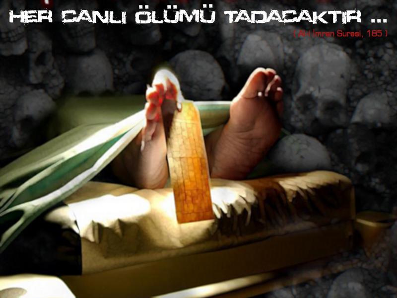b8v8gussbtiaueaa7.jpg