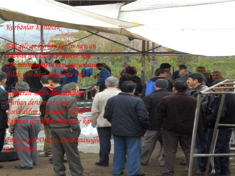 www_antoloji_com_1077096_594.JPG
