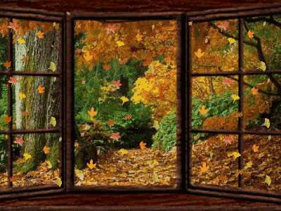 bbf9169fc03b873f98dcc7078b4699d2.gif
