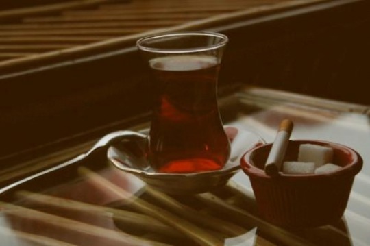 tumblr_nl688zYg1V1unmpgzo1_540.jpg
