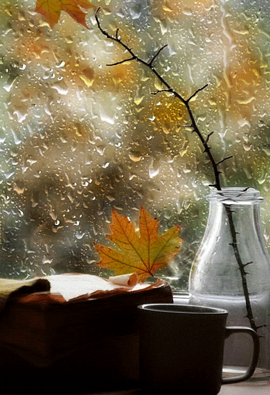 6afdd1aa302e7b991b2624a26f4a9253.gif