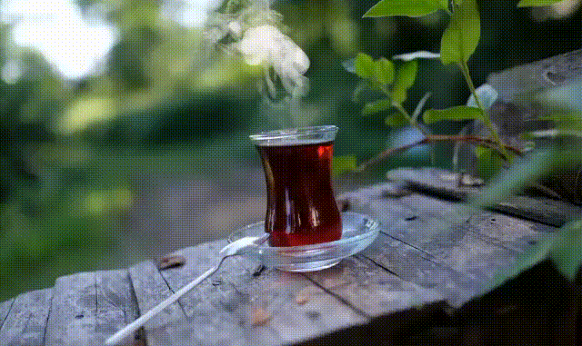 4f016fdac91387b9d755f7af4972268b.gif